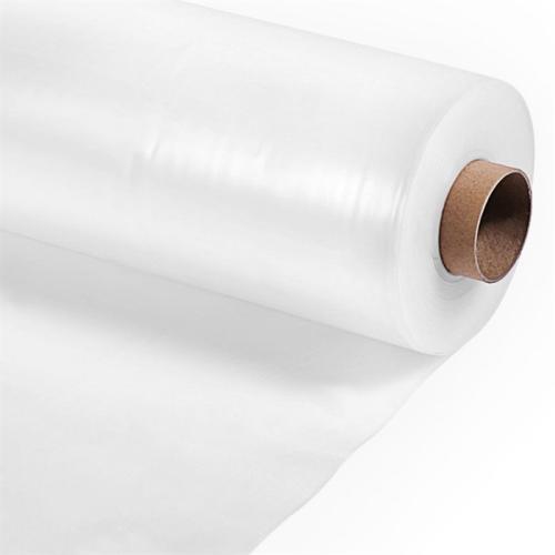 catalog-sections