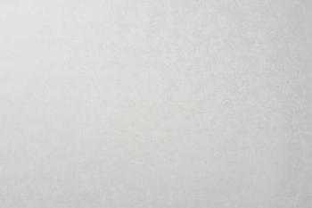 Обои виниловые 1,06х10 м ГТ Элеганс фон белый; АРТЕКС, 10917-01/6