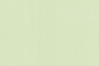 Обои виниловые 1,06х10 м ВВ Промо зеленый; Industry, 167014-85/9