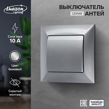 Выключатель Антей серебристый 1-кл скрытый; Luazon Lighting 9925735