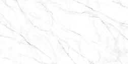Керамогранит Neo Calacatta серый 60х120х0,85см 1,44 кв.м. 2шт; Alma Ceramica, GFU60120NCL07R