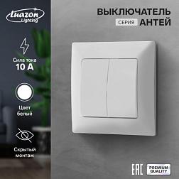 Выключатель Антей белый 2-кл скрытый; Luazon Lighting 9925745
